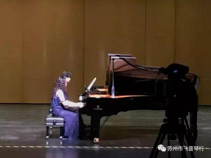 【报道】苏州飞音琴行海博测评钢琴旗舰展厅开业仪式暨贝森朵夫艺术家李哲钢琴音乐会圆满落幕