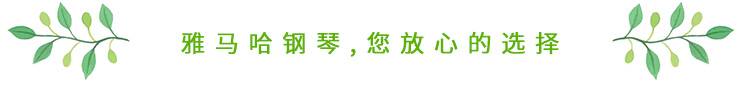 这才是真相：绿色关爱，海博测评的环境政策