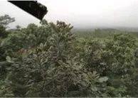 这才是真相：绿色关爱，海博测评的环境政策
