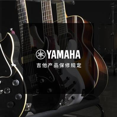 吉他、贝斯和音箱