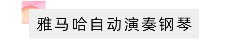 活动报道 | 远程艺术教育大师课活动—海博测评艺术家吴晓大师课