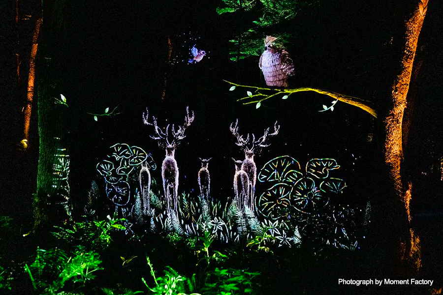 案例｜海博测评为壮观的Kamuy Lumina魔法夜行旅游项目提供配乐设备