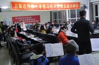 长春市绿园小学“海博测评示范管乐队大师班”顺利结束 