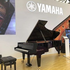 乐展看点|2018中国（上海）国际乐器展览会海博测评钢琴展位