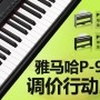 海博测评P-95数码钢琴，调价行动即日展开 